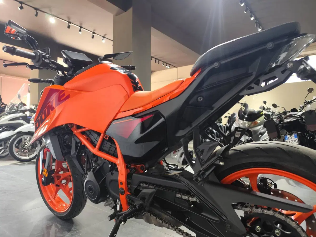 KTM 390 Duke (2024 - 25) (6)