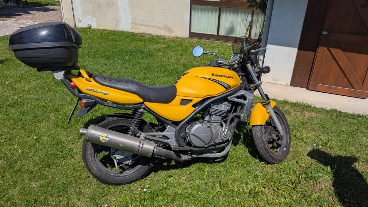 Kawasaki ER-5 500 (2001 - 06)
