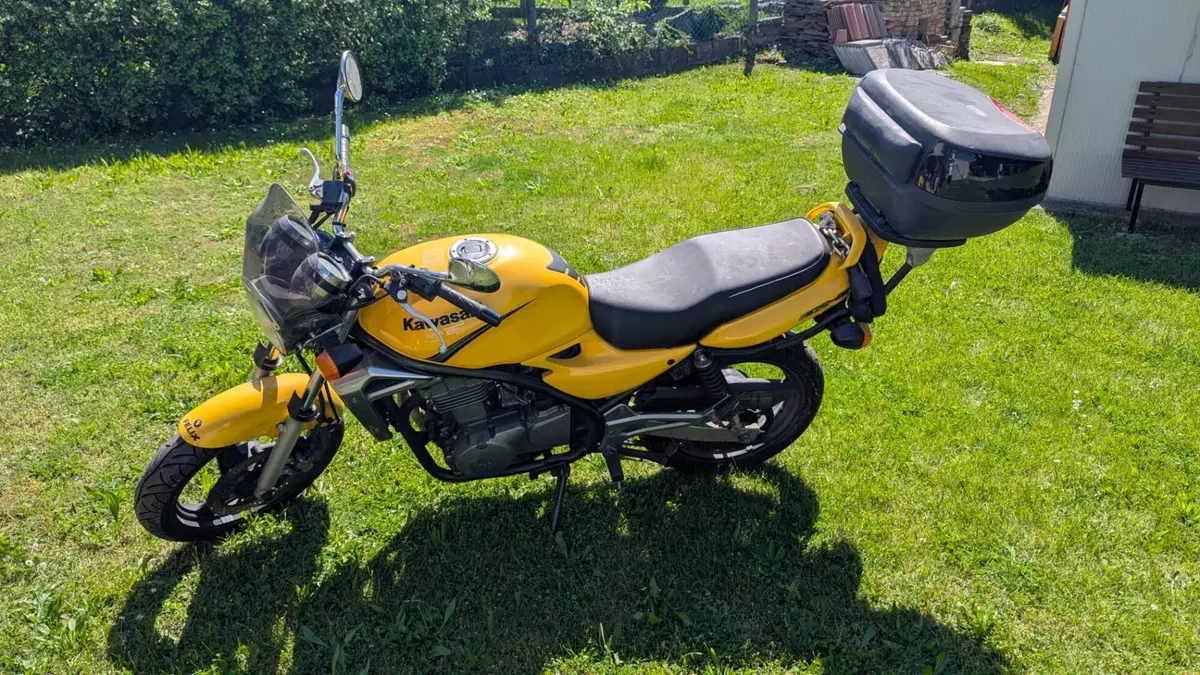 Kawasaki ER-5 500 (2001 - 06) (2)