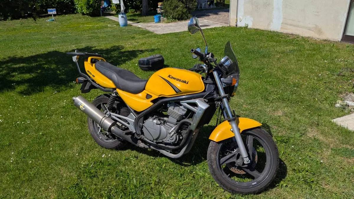 Kawasaki ER-5 500 (2001 - 06) (4)
