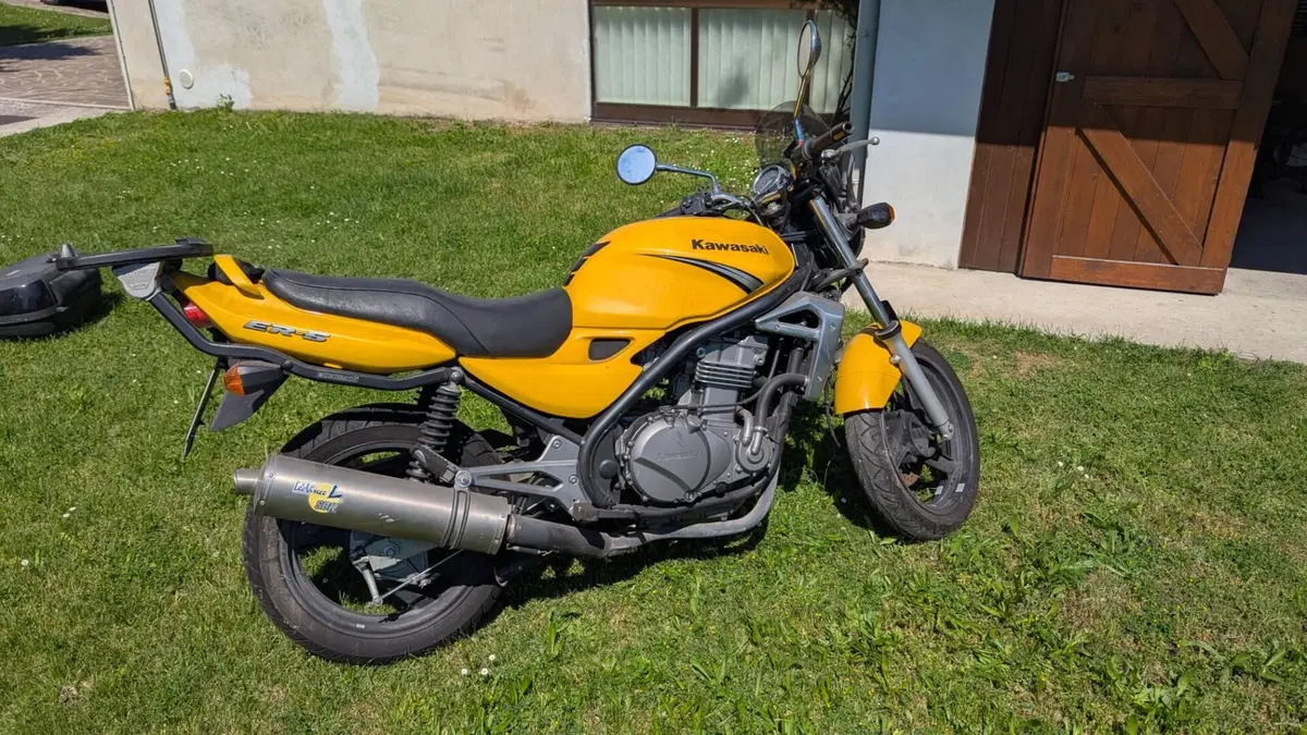 Kawasaki ER-5 500 (2001 - 06) (5)