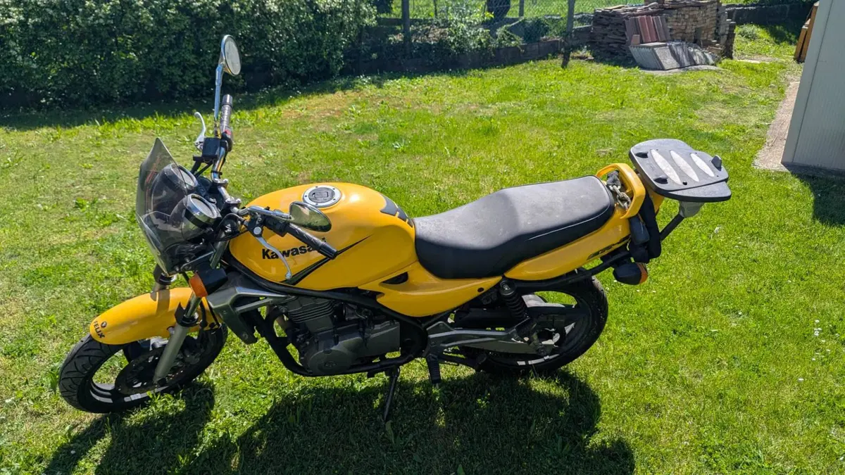 Kawasaki ER-5 500 (2001 - 06) (6)