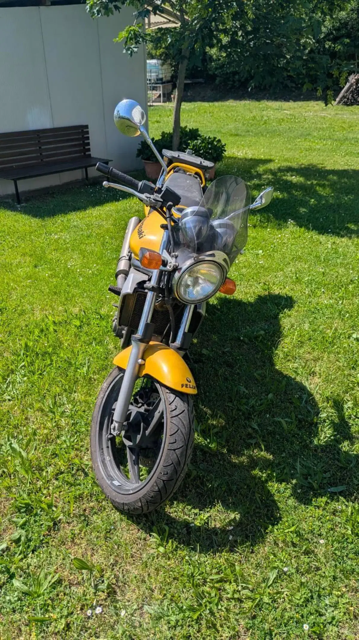 Kawasaki ER-5 500 (2001 - 06) (7)