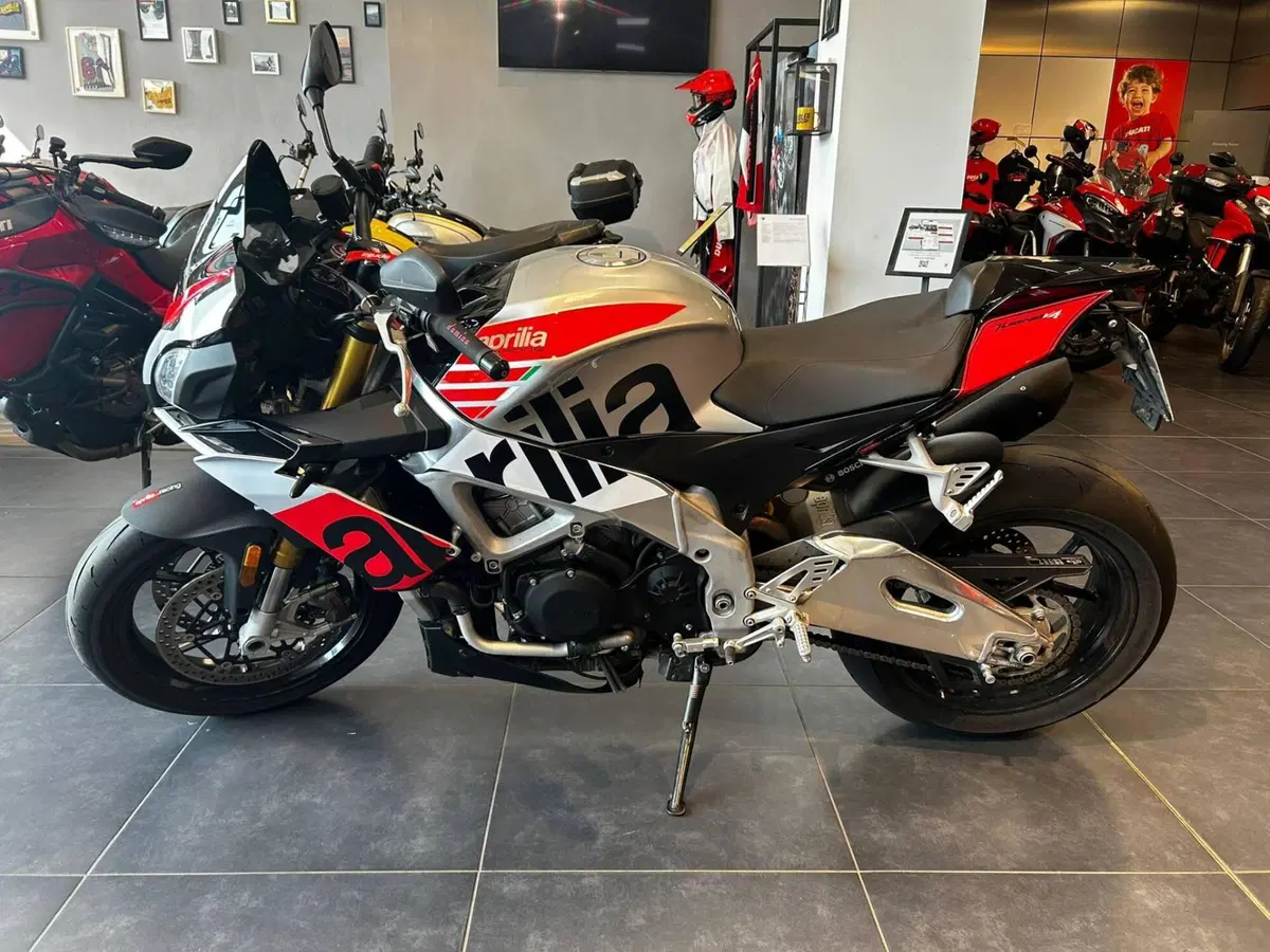 Aprilia Tuono V4 RR (2017 - 18)
