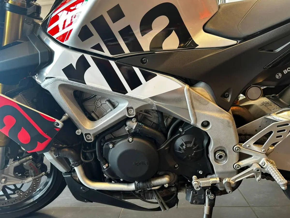 Aprilia Tuono V4 RR (2017 - 18) (3)