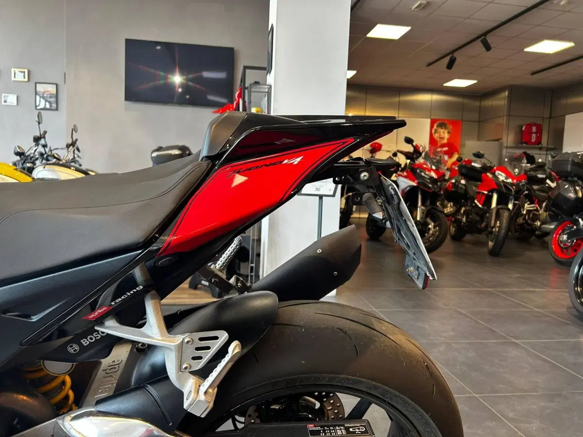 Aprilia Tuono V4 RR (2017 - 18) (4)