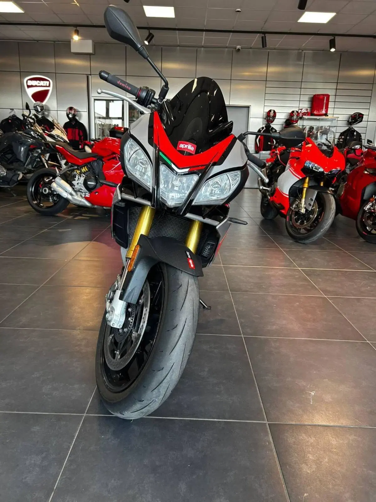 Aprilia Tuono V4 RR (2017 - 18) (11)