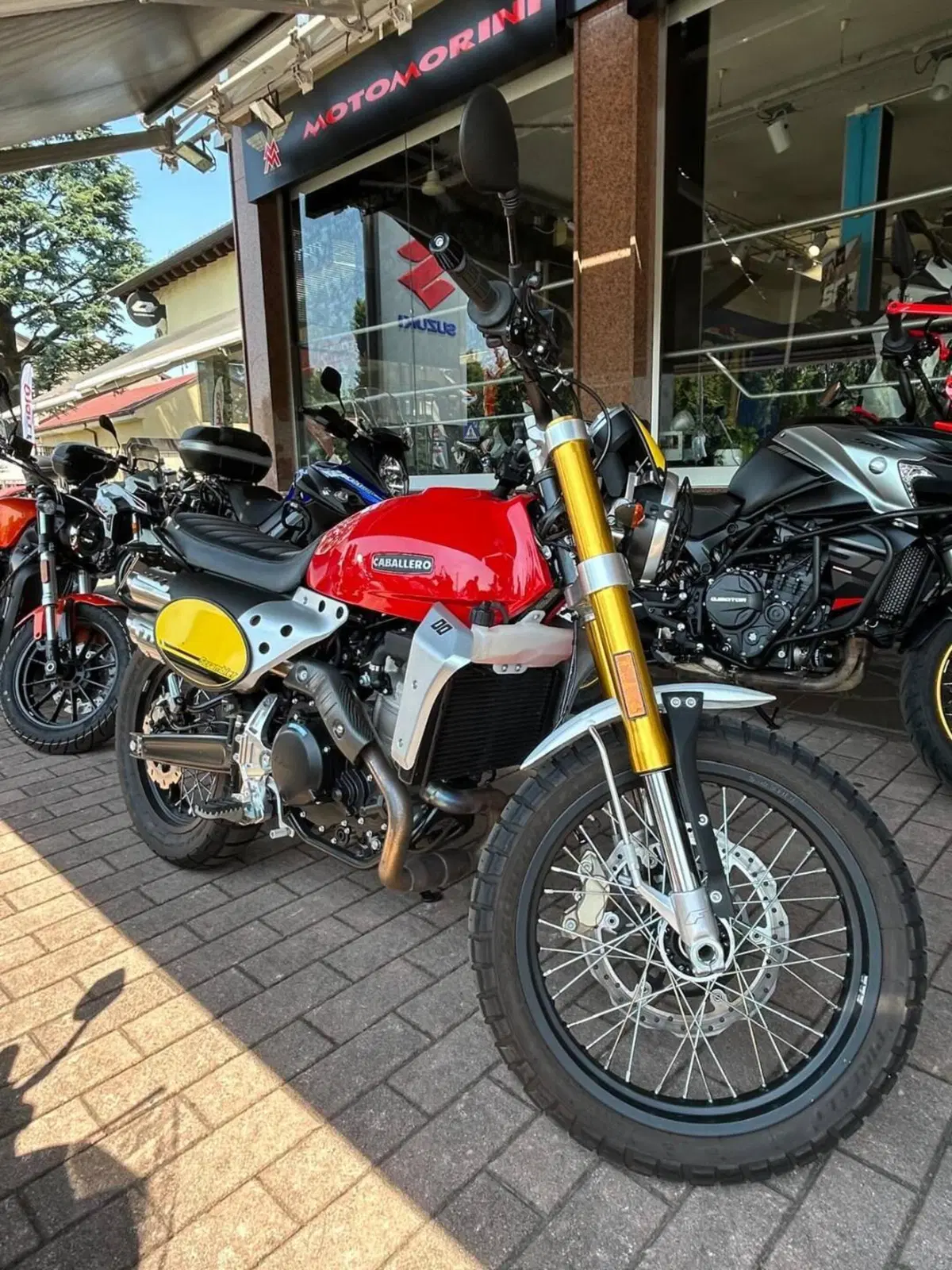 Fantic Motor Caballero 500 Scrambler (2024) (3)