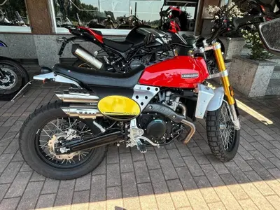 Fantic Motor Caballero 500 Scrambler (2024) usata