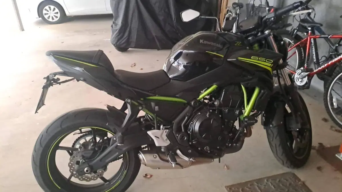 Kawasaki Z 650 (2021 - 24) (6)