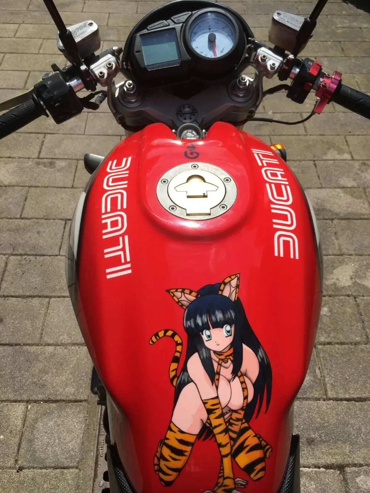 Ducati Monster S4R (2003 - 05) (4)