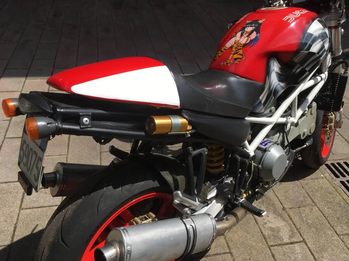 Ducati Monster S4R (2003 - 05) (5)