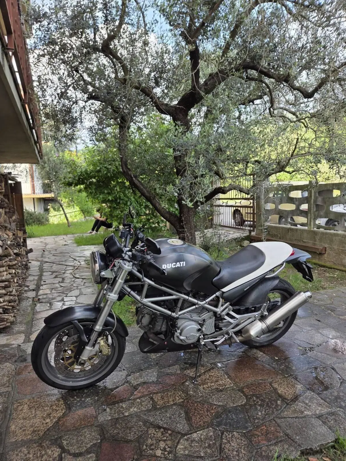 Ducati Monster 620 Dark (2003 - 06) (2)