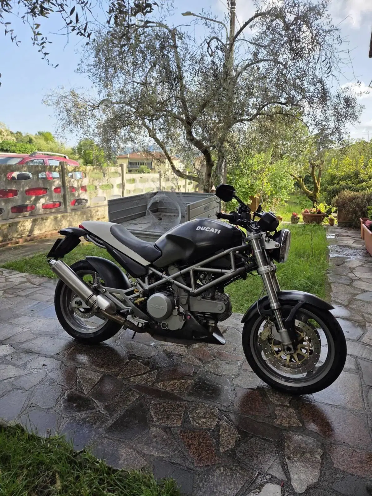 Ducati Monster 620 Dark (2003 - 06) (3)