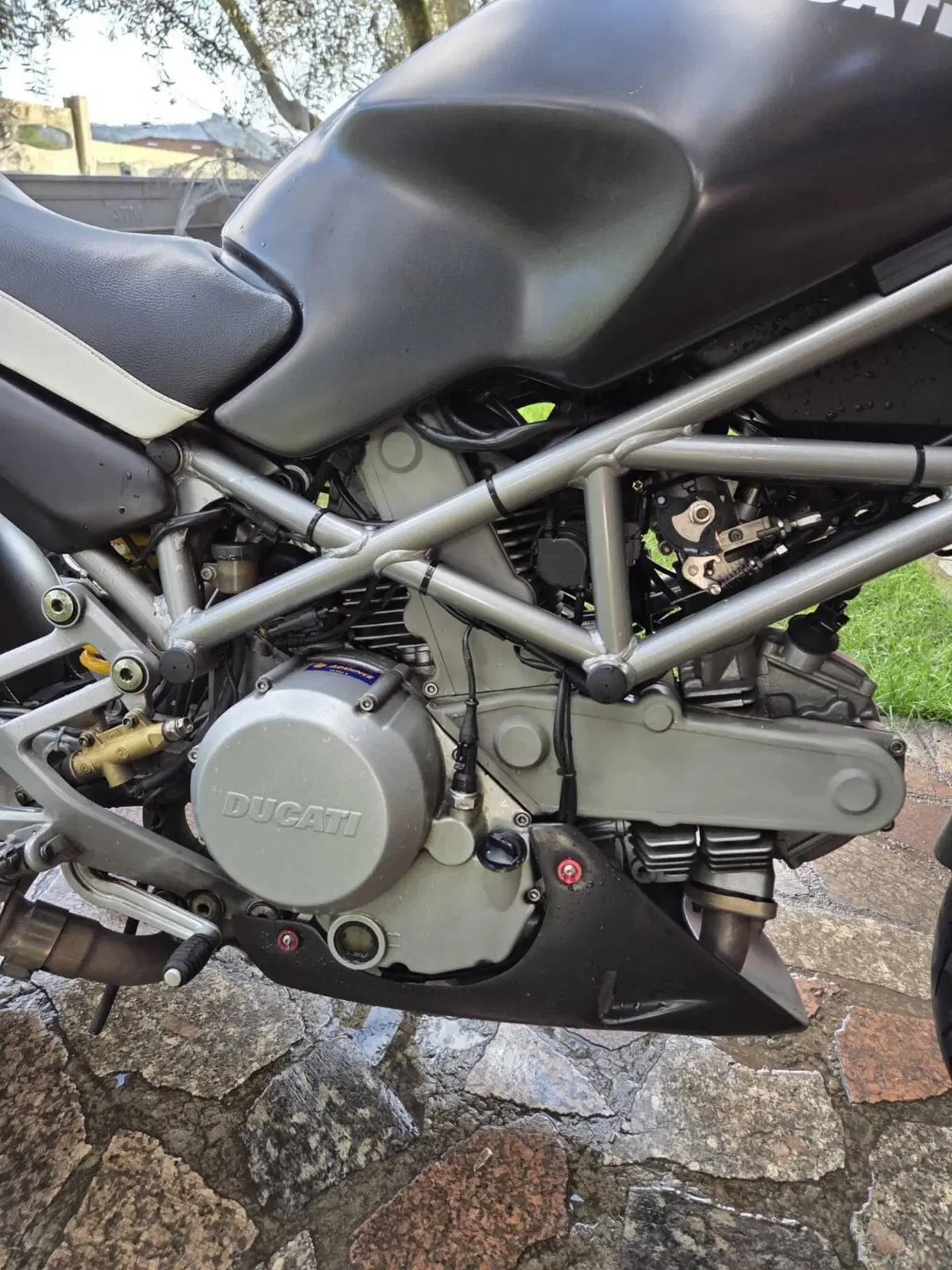 Ducati Monster 620 Dark (2003 - 06) (4)