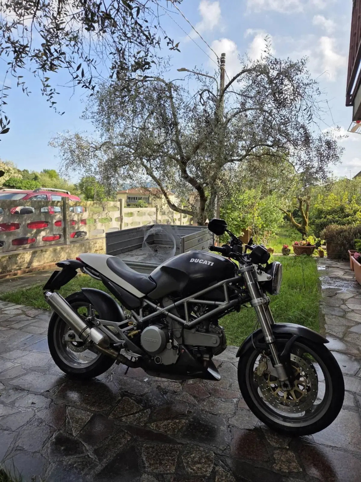 Ducati Monster 620 Dark (2003 - 06) (5)