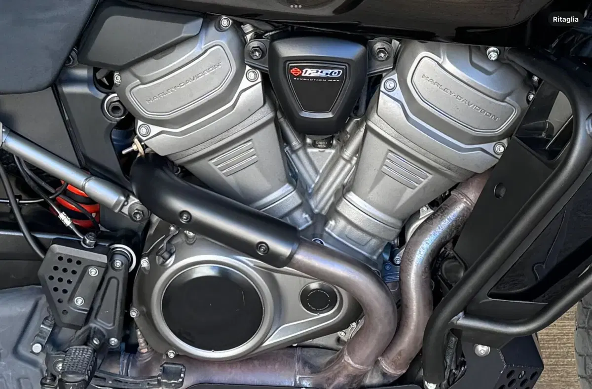 Harley-Davidson Pan America 1250 (2020 - 25) (7)