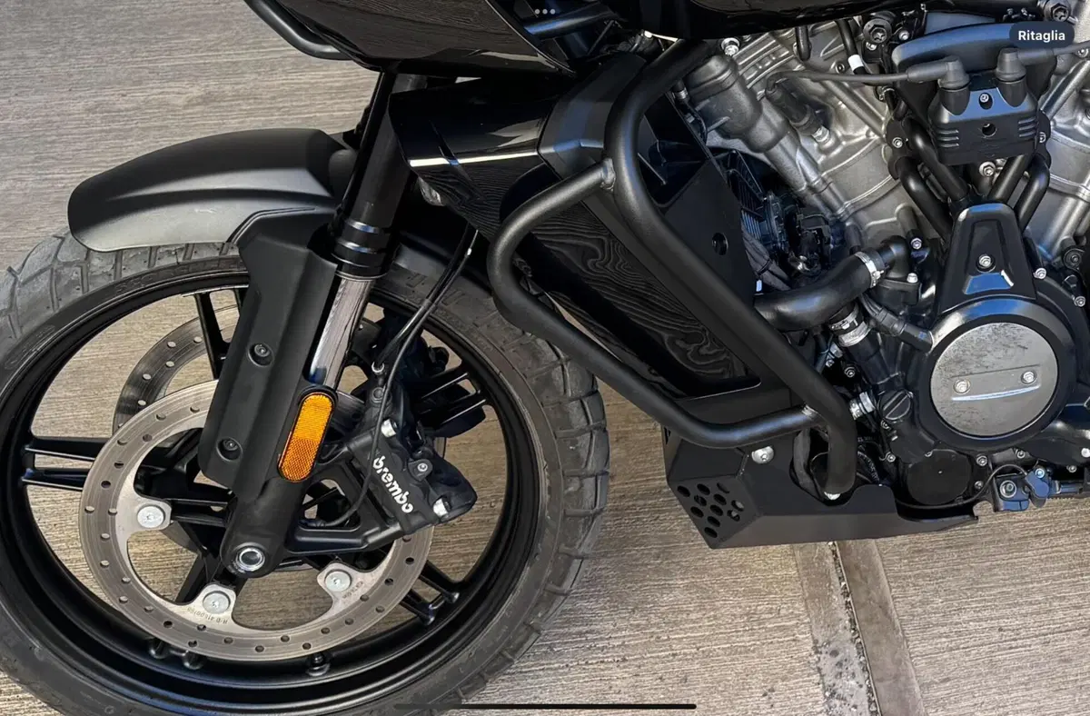 Harley-Davidson Pan America 1250 (2020 - 25) (9)