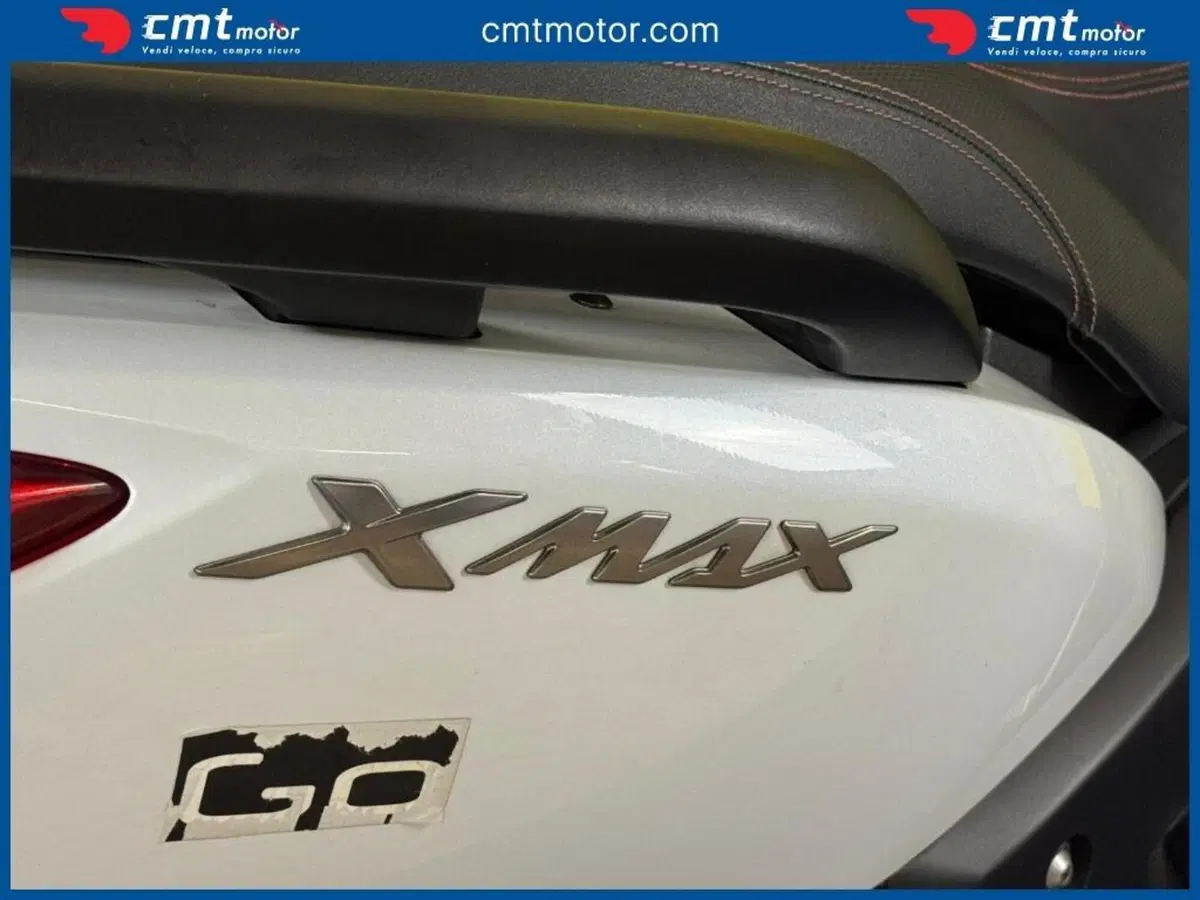 Yamaha X-Max 250 (2010 - 13) (10)