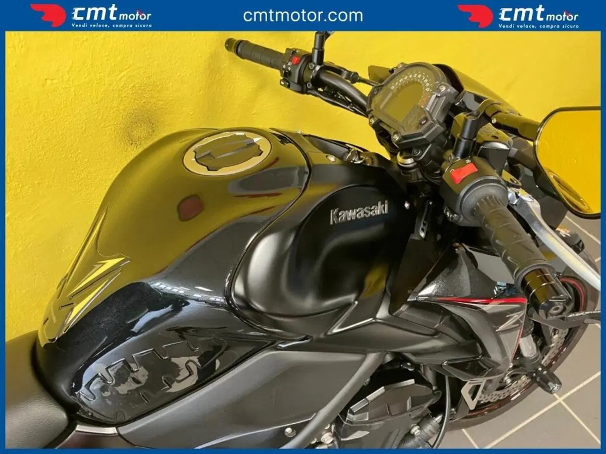 Kawasaki Z 900 Performance (2019) (9)