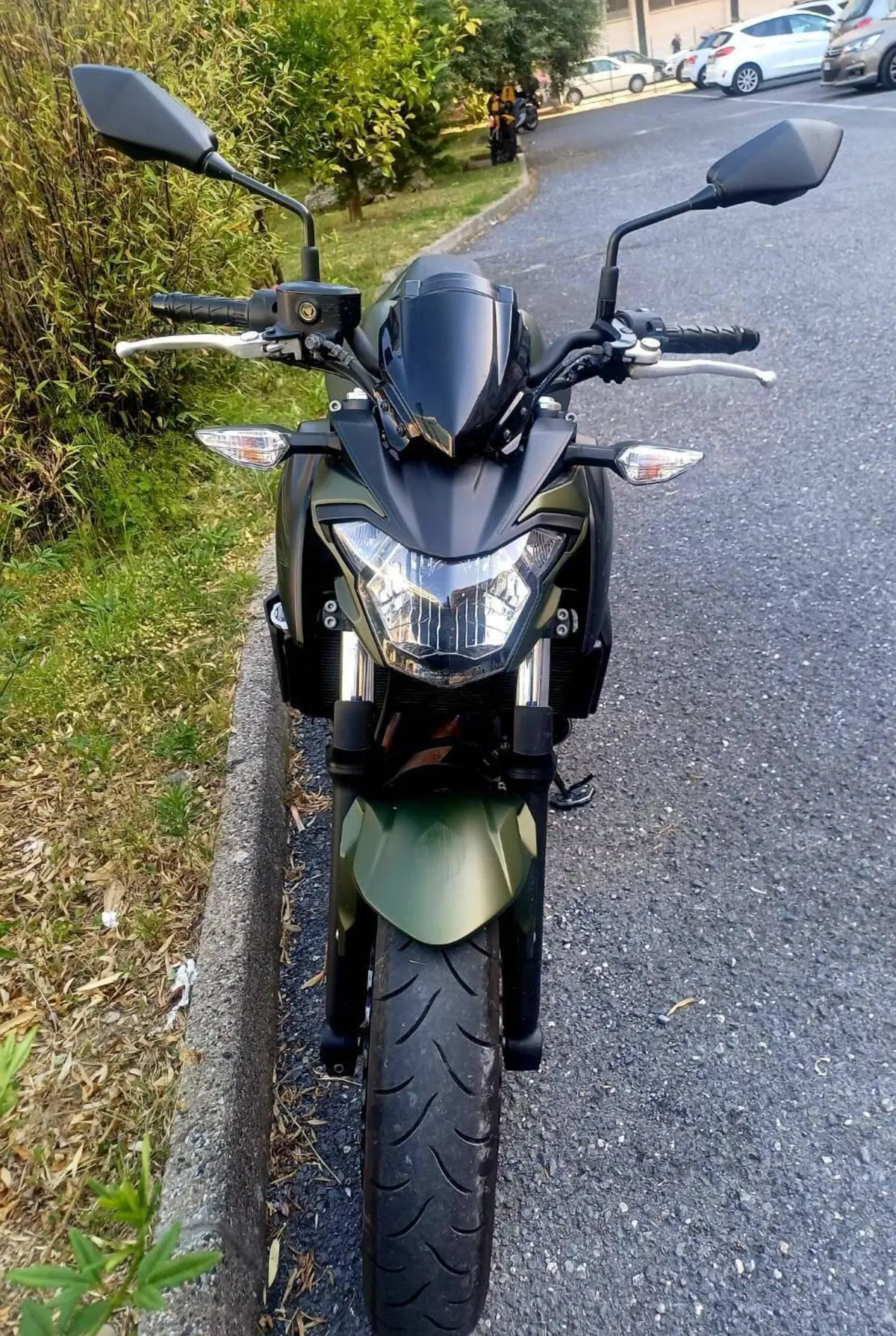 Kawasaki Z 650 (2017 - 19) (2)
