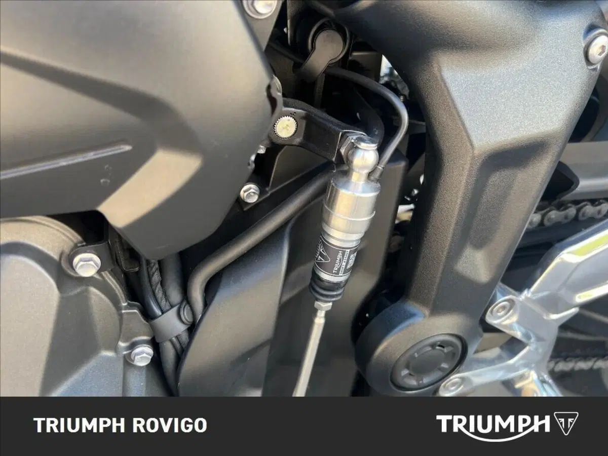 Triumph Trident 660 Triple Tribute Edition (2025 - 26) (3)