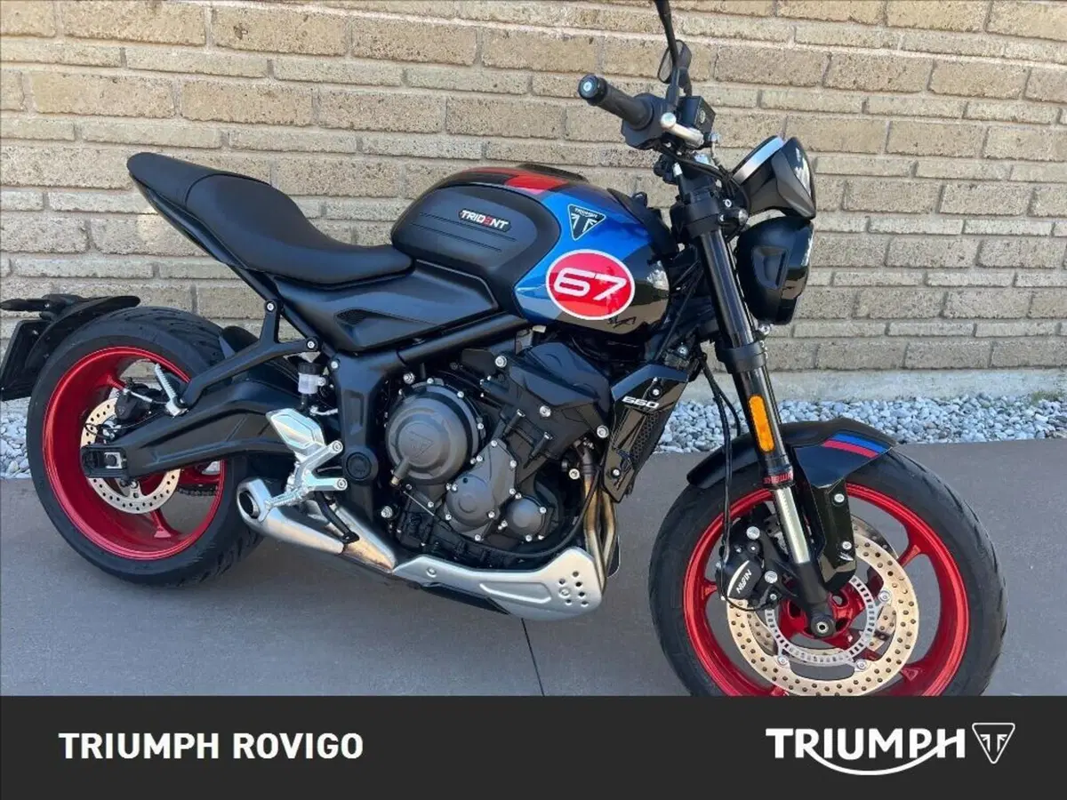 Triumph Trident 660 Triple Tribute Edition (2025 - 26)