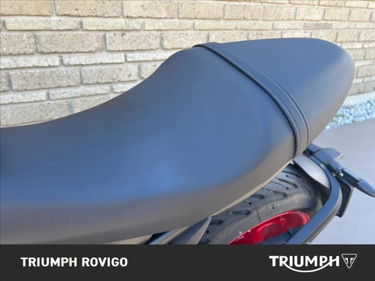 Triumph Trident 660 Triple Tribute Edition (2025 - 26) (11)