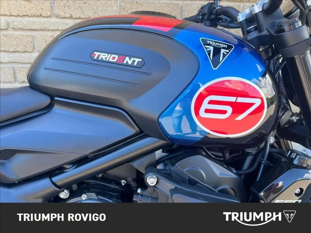 Triumph Trident 660 Triple Tribute Edition (2025 - 26) (12)
