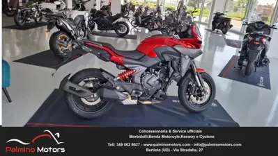 Cyclone RX650 (2025 - 26) usata