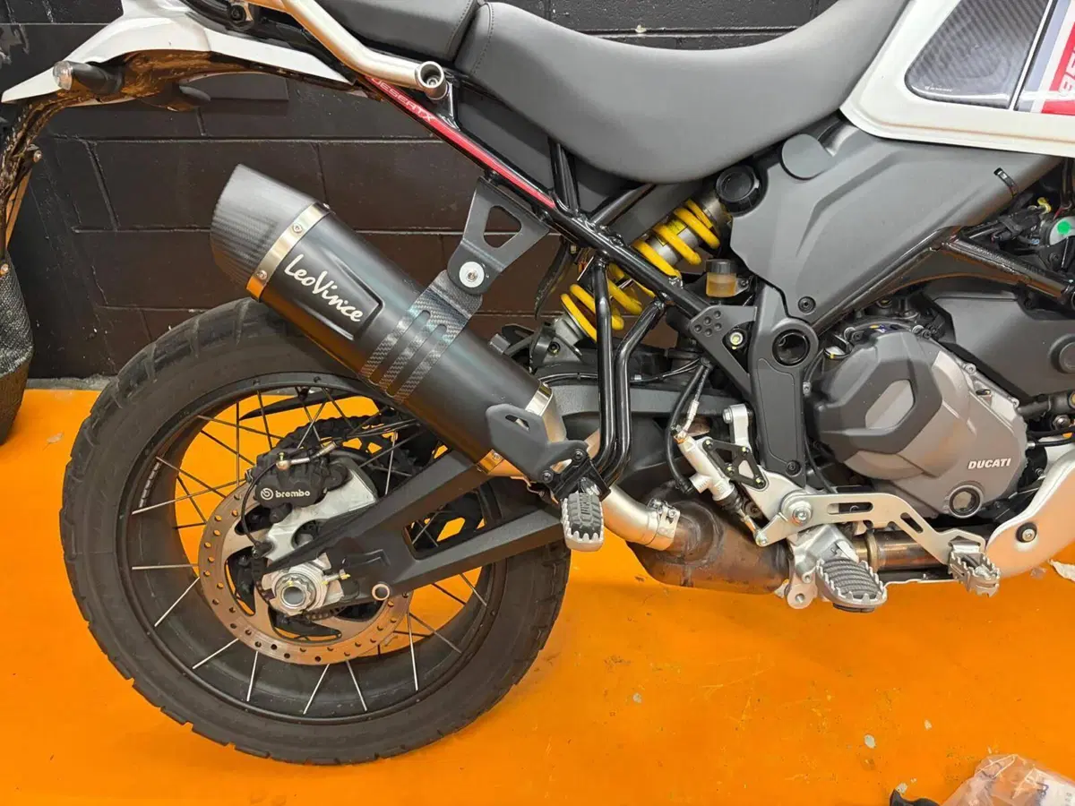 Ducati DesertX (2022 - 25) (6)