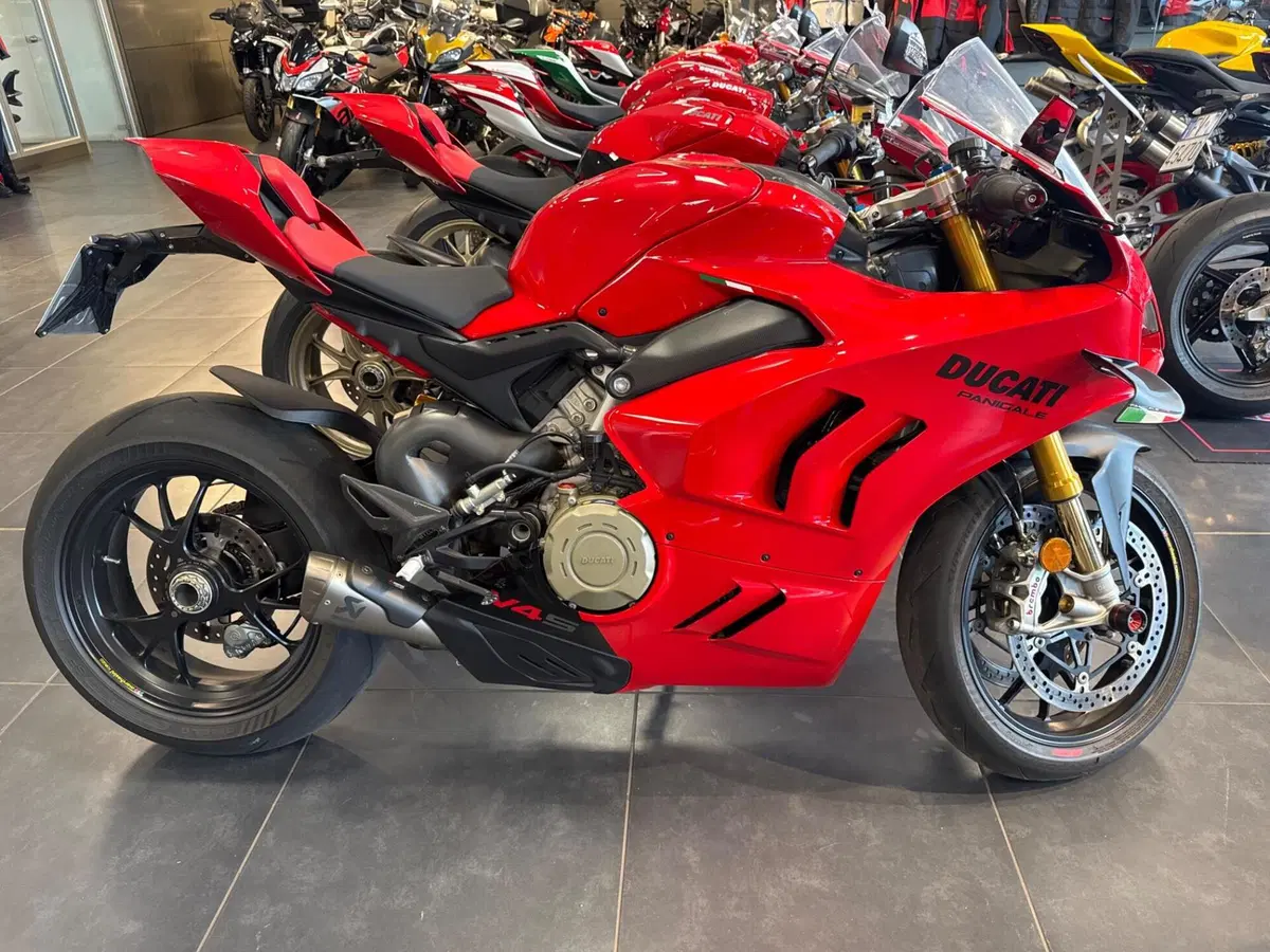 Ducati Panigale V4 S (2022 - 24)