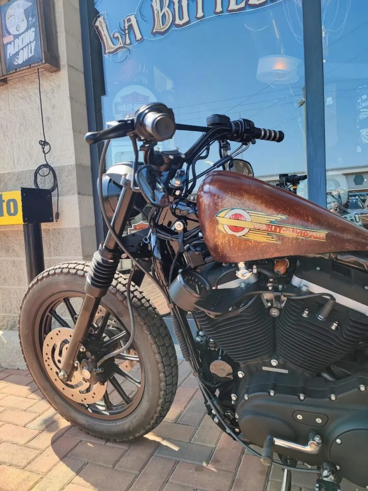 Harley-Davidson 883 R (2004 - 05) - XL 883R (5)