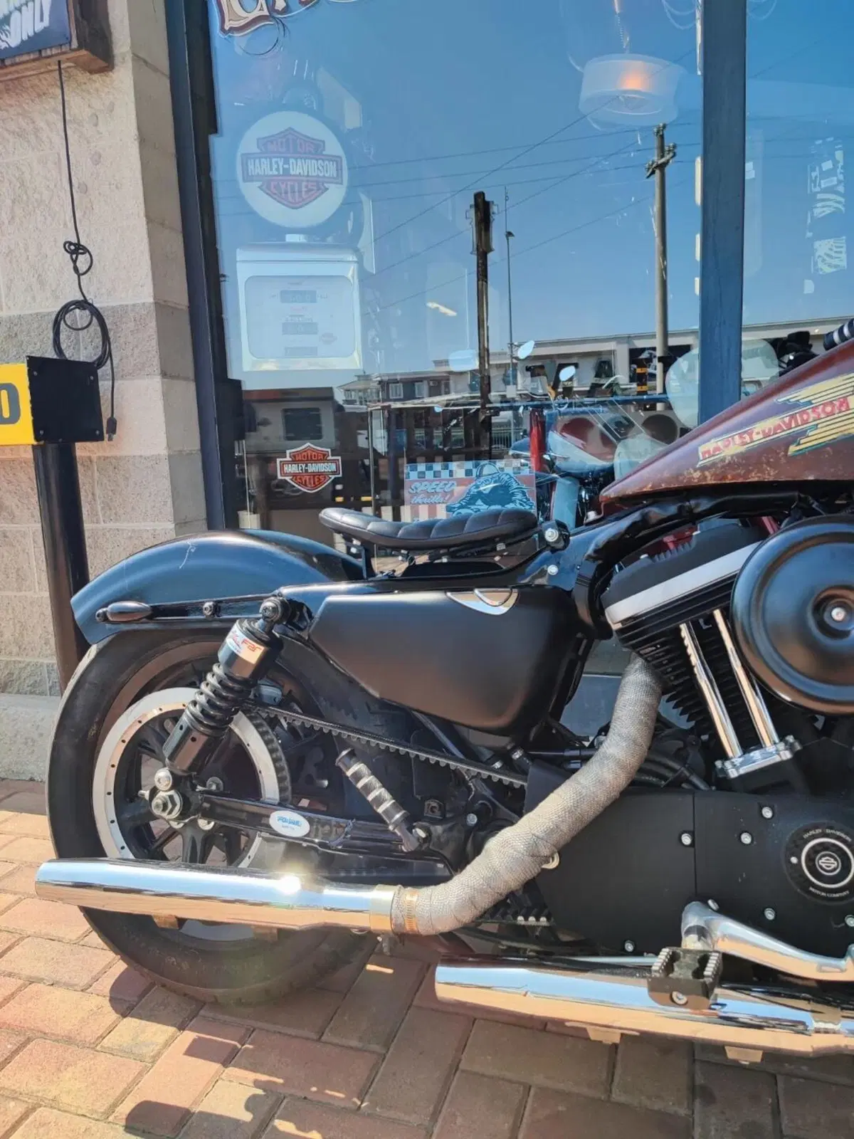 Harley-Davidson 883 R (2004 - 05) - XL 883R (6)