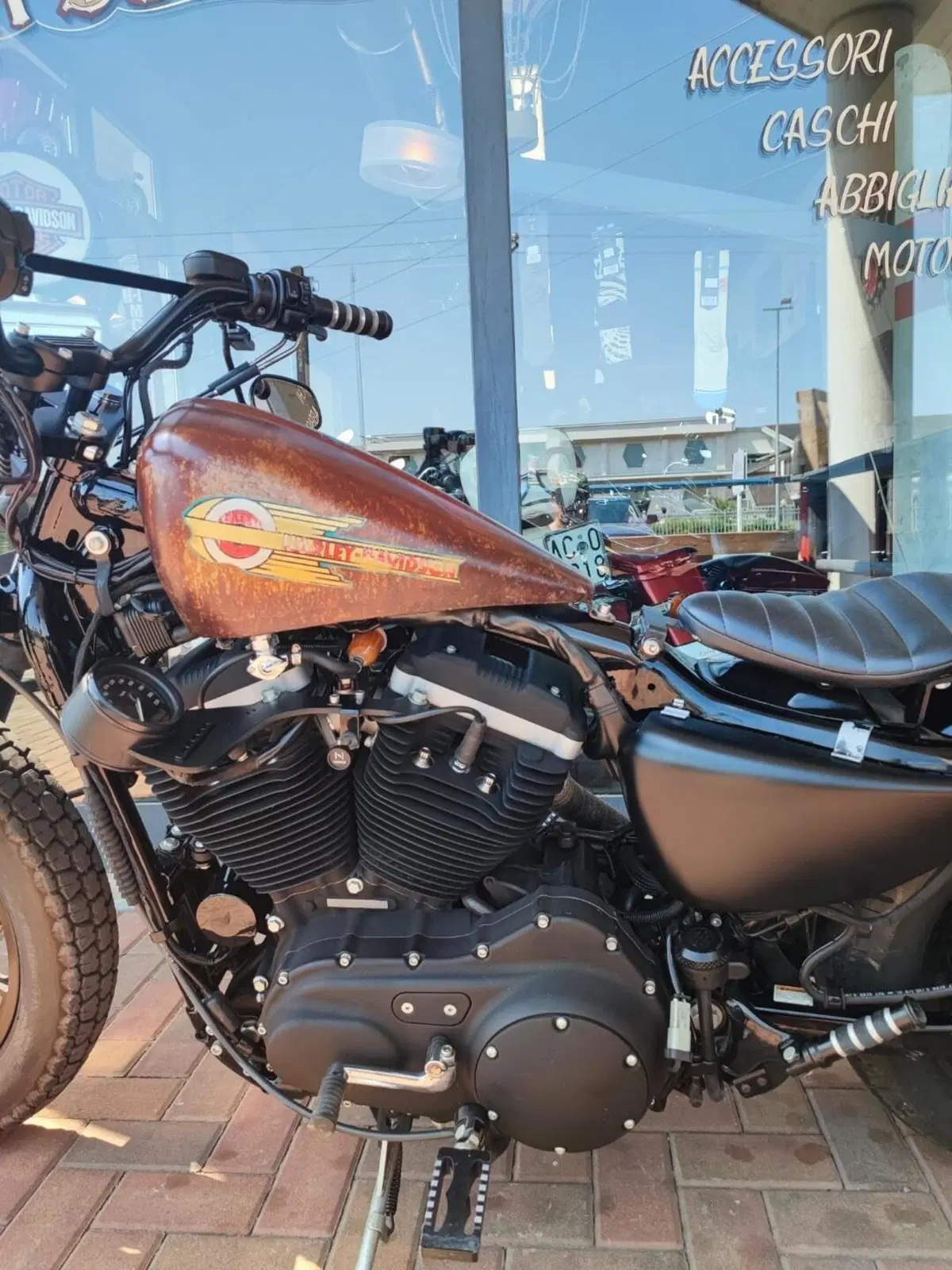 Harley-Davidson 883 R (2004 - 05) - XL 883R (7)