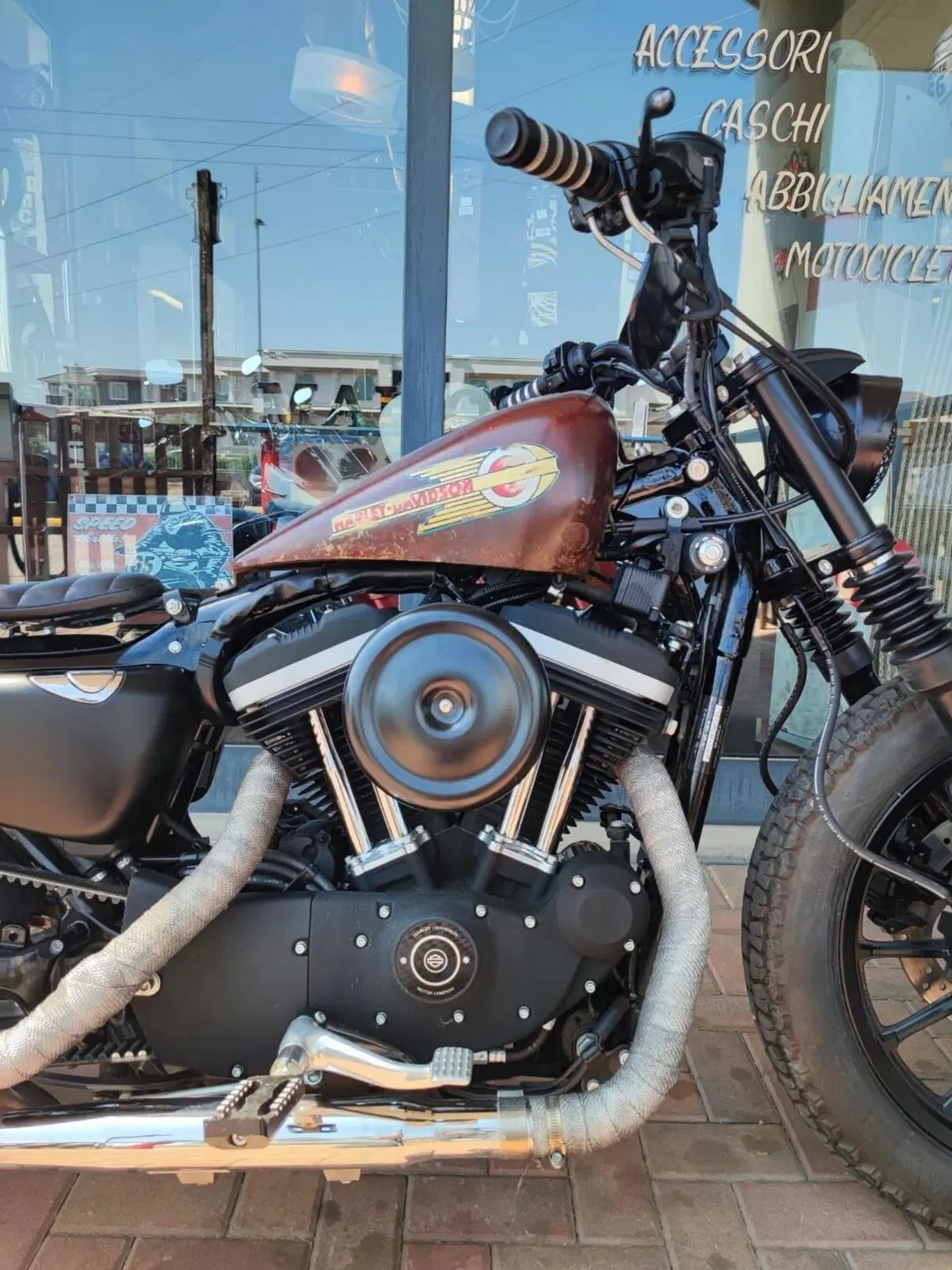 Harley-Davidson 883 R (2004 - 05) - XL 883R (9)