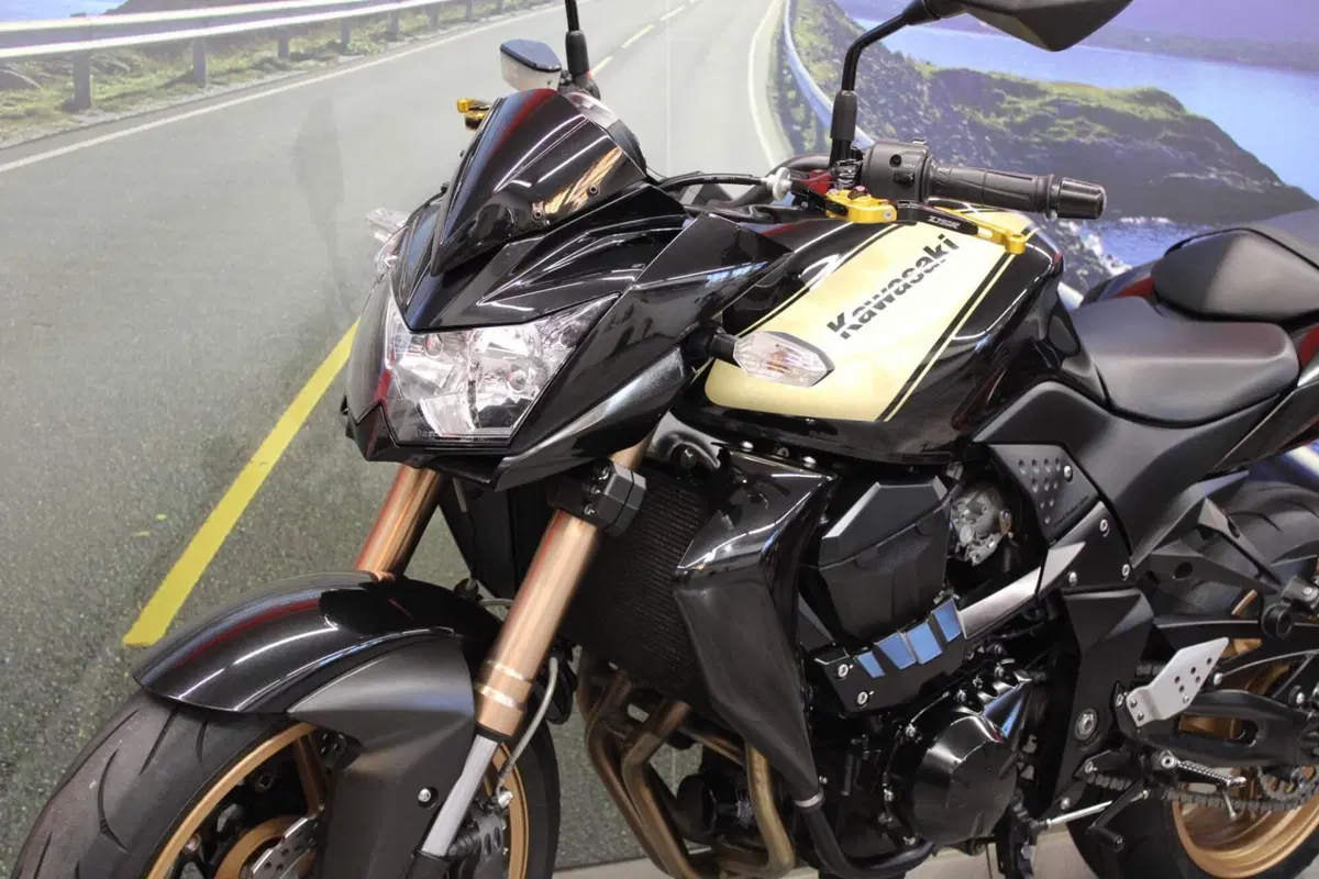 Bmw R 1200 GS (2008 - 09) (8)