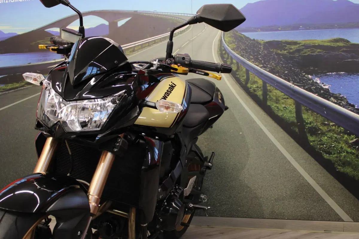 Bmw R 1200 GS (2008 - 09) (11)