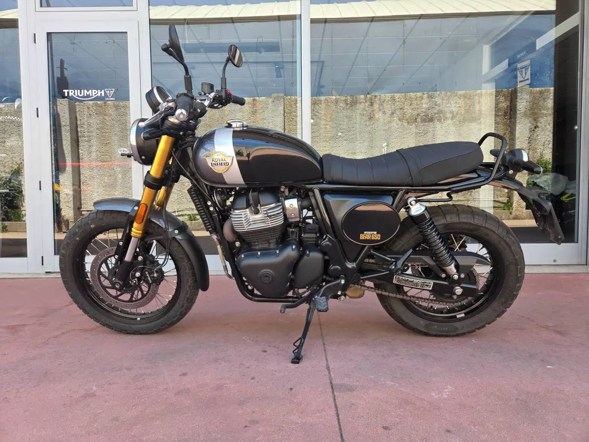 Royal Enfield Bear 650 (2025 - 26) (5)