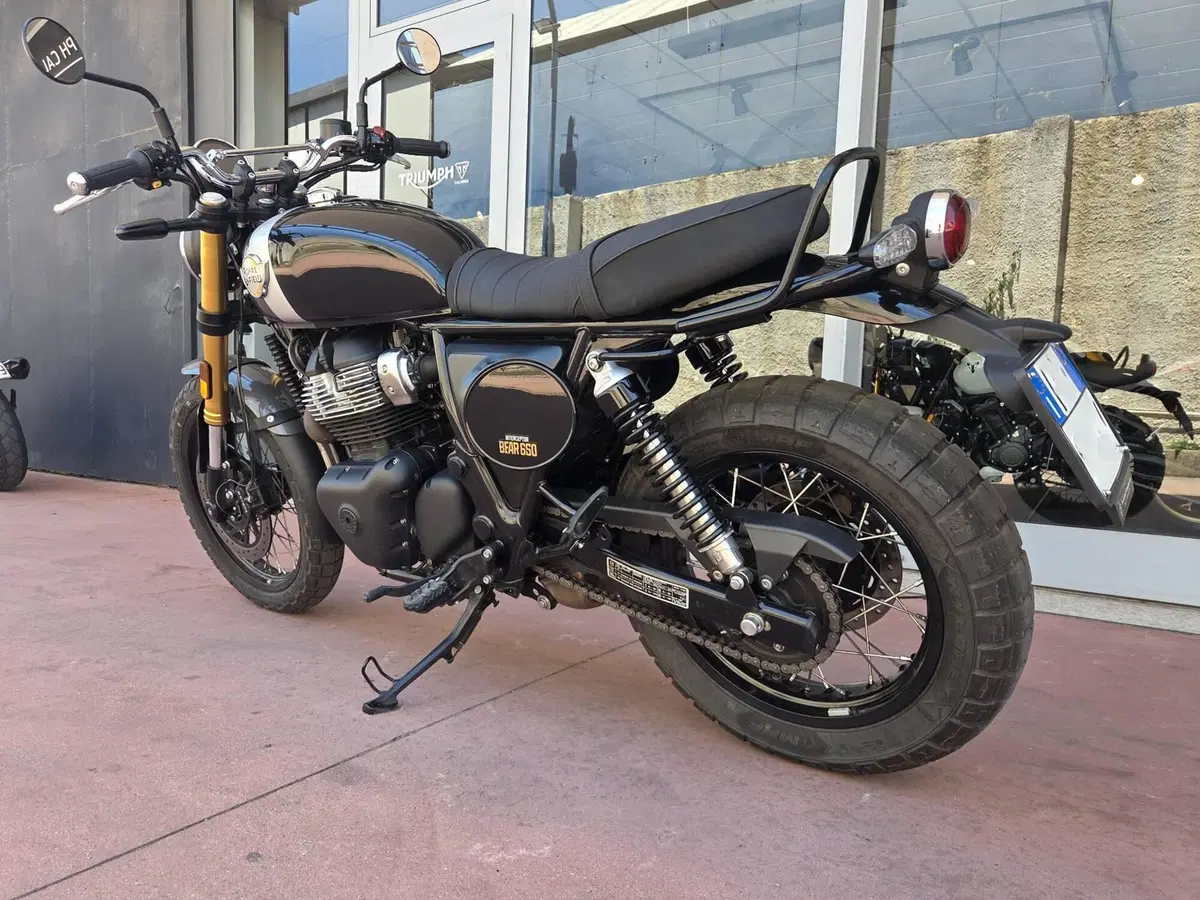 Royal Enfield Bear 650 (2025 - 26) (6)