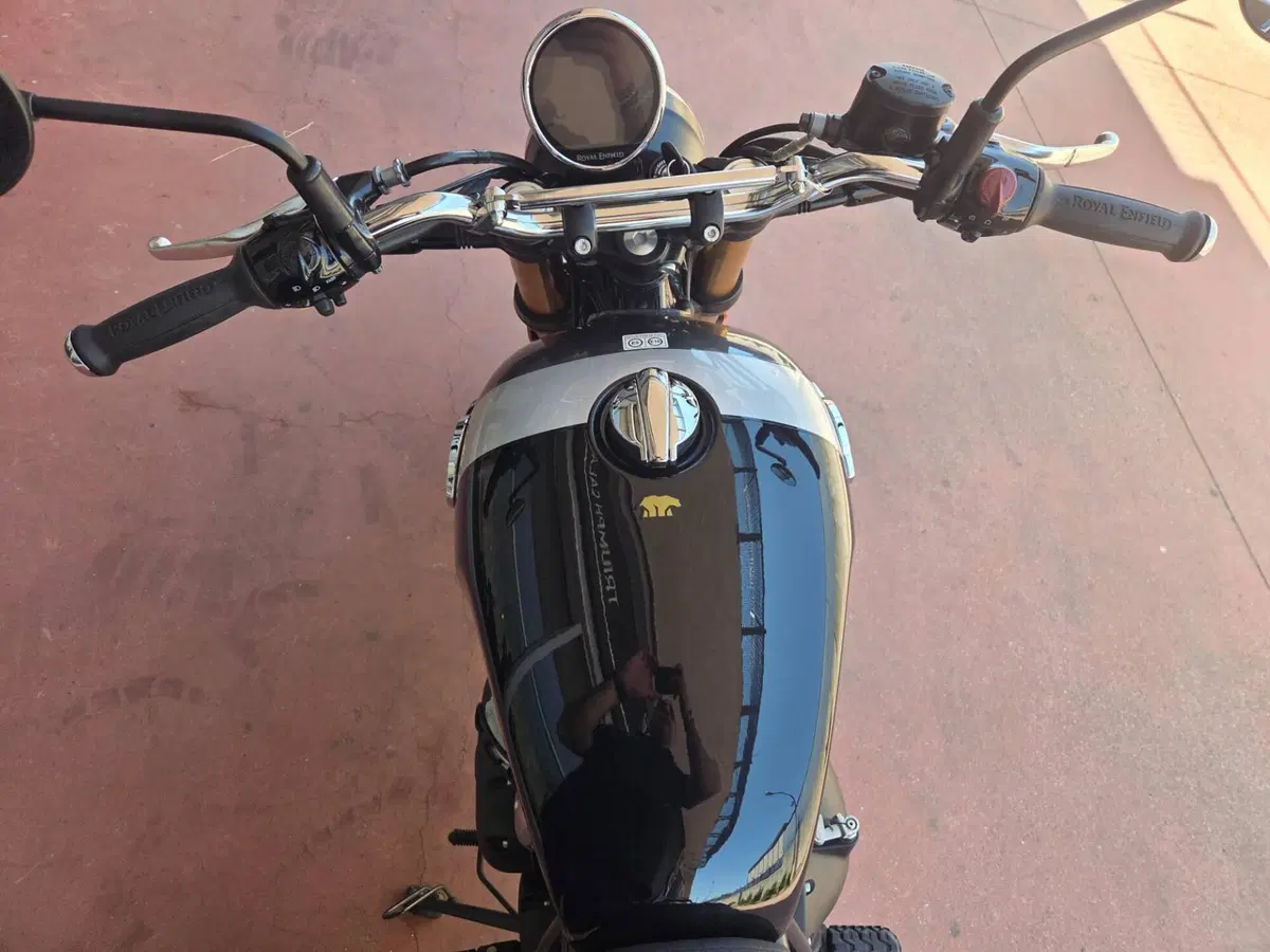 Royal Enfield Bear 650 (2025 - 26) (9)