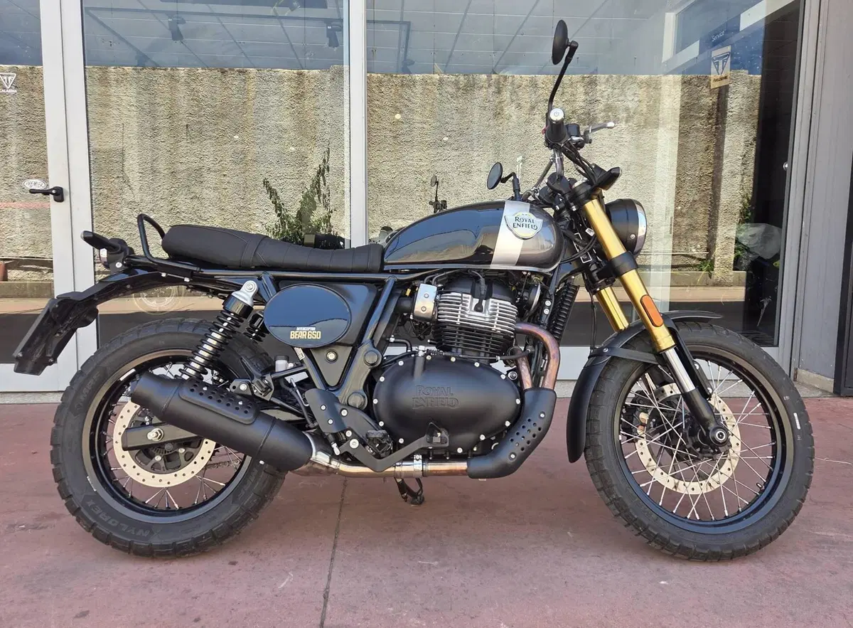 Royal Enfield Bear 650 (2025 - 26) (3)