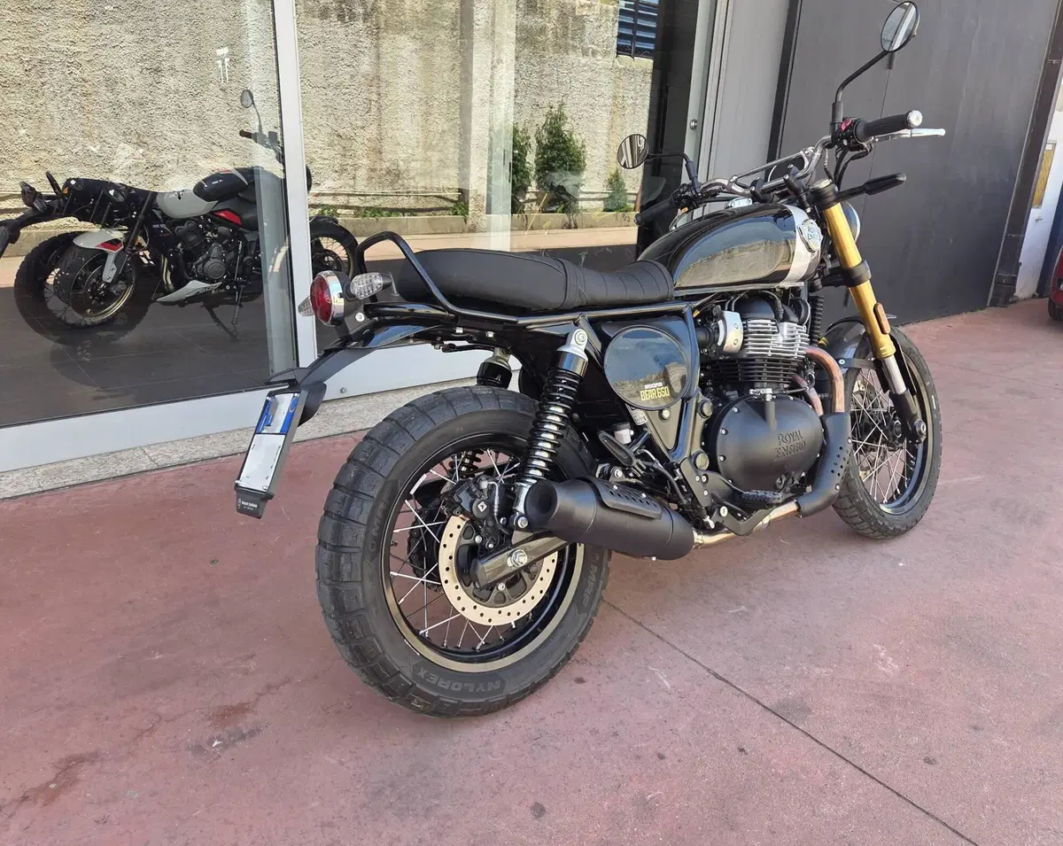 Royal Enfield Bear 650 (2025 - 26) (4)