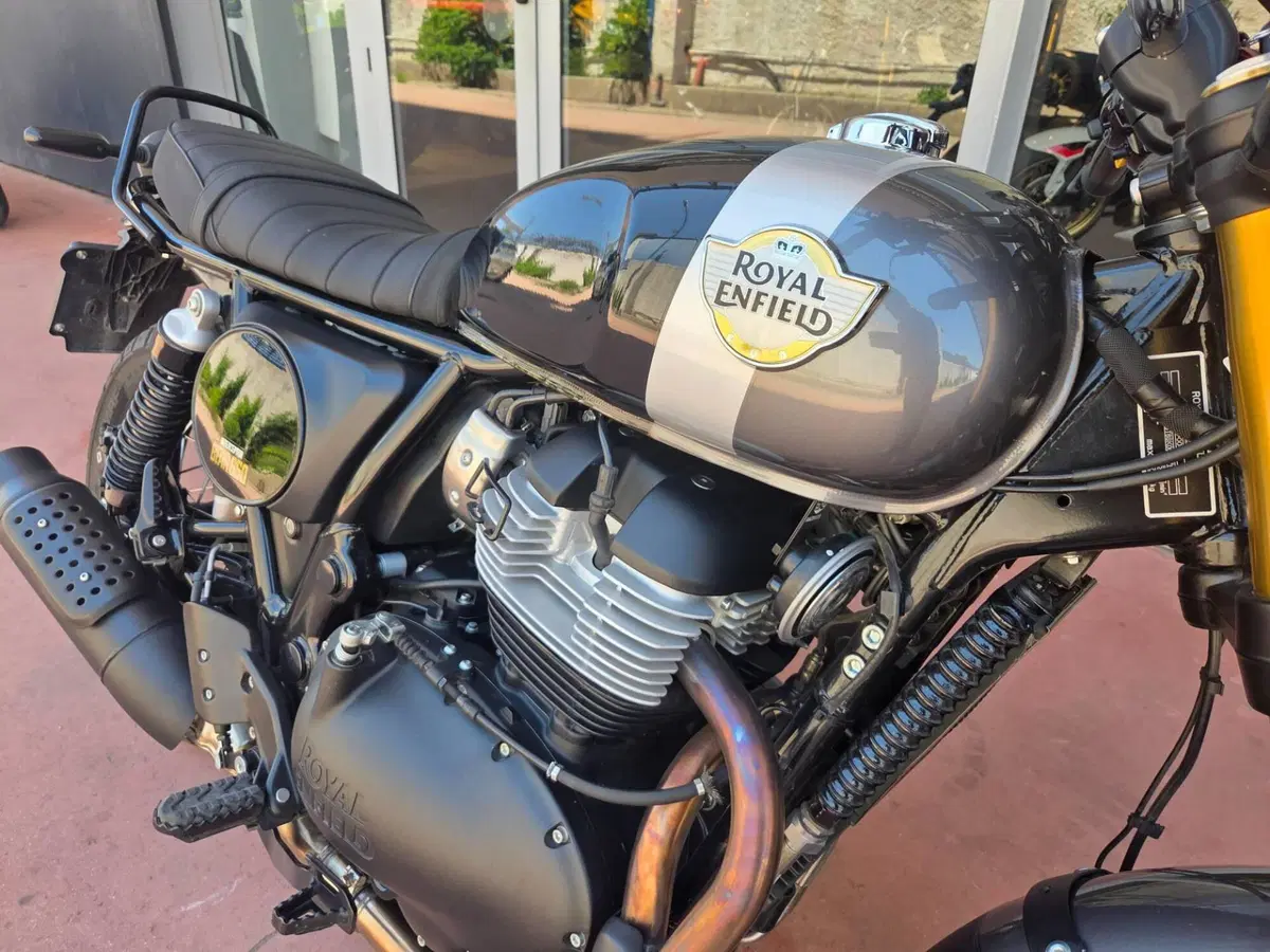 Royal Enfield Bear 650 (2025 - 26) (10)
