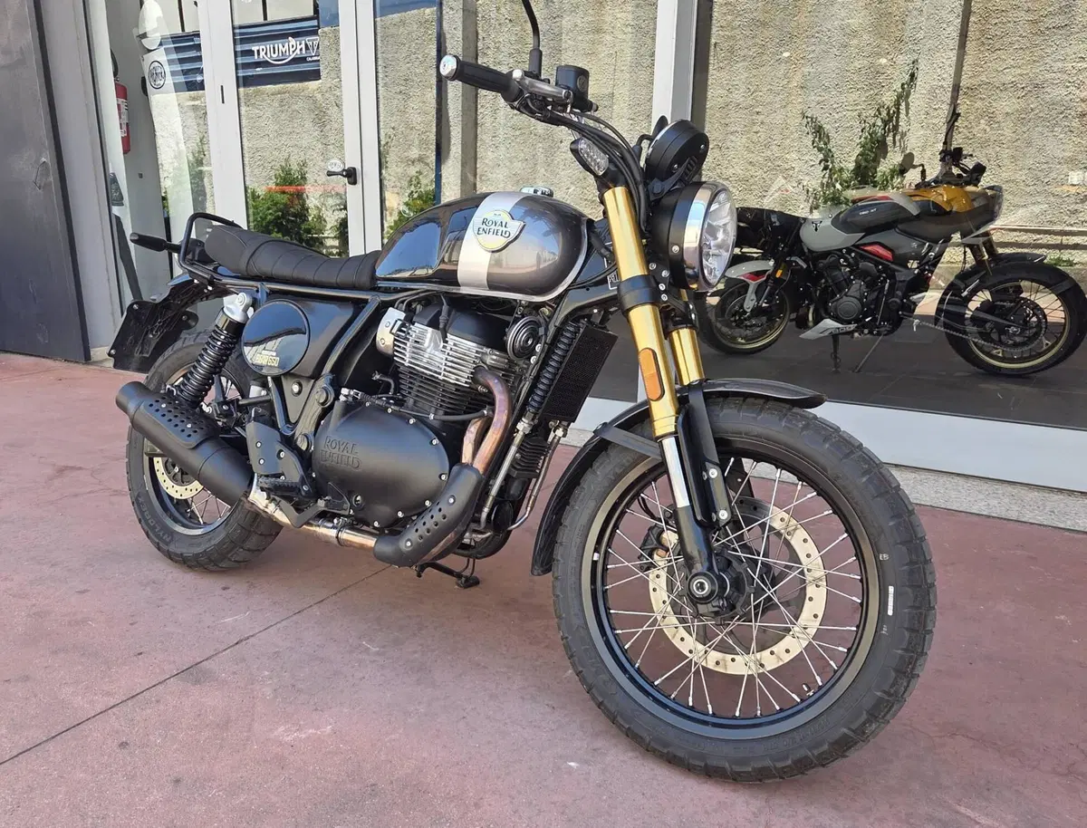 Royal Enfield Bear 650 (2025 - 26)