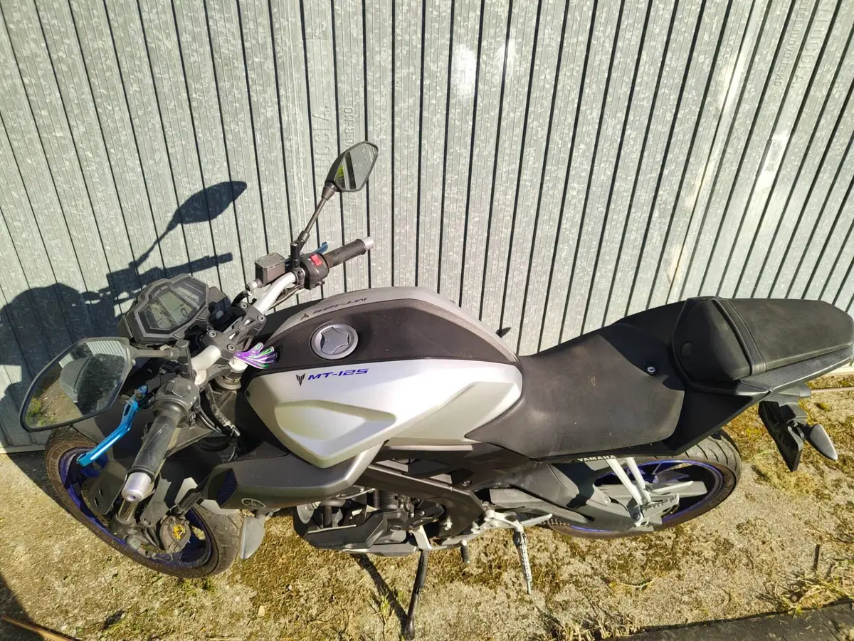 Yamaha MT-125 ABS (2015 - 16) (4)