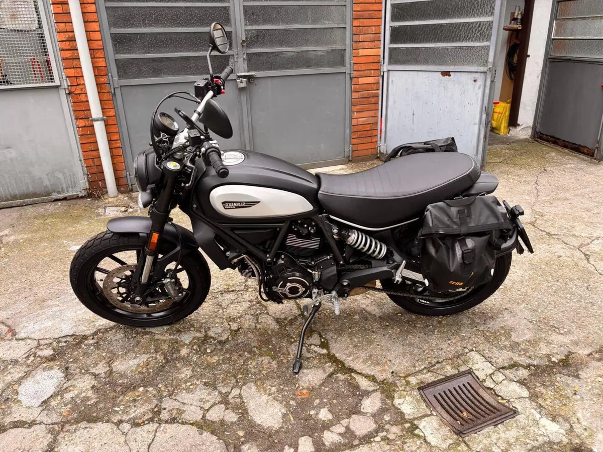 Ducati Scrambler 800 Icon (2021 - 22) (2)
