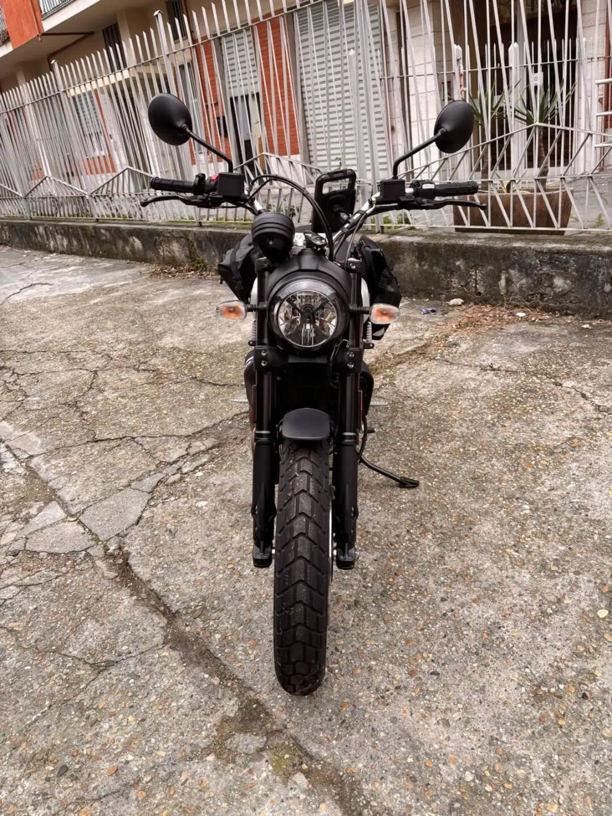 Ducati Scrambler 800 Icon (2021 - 22) (4)