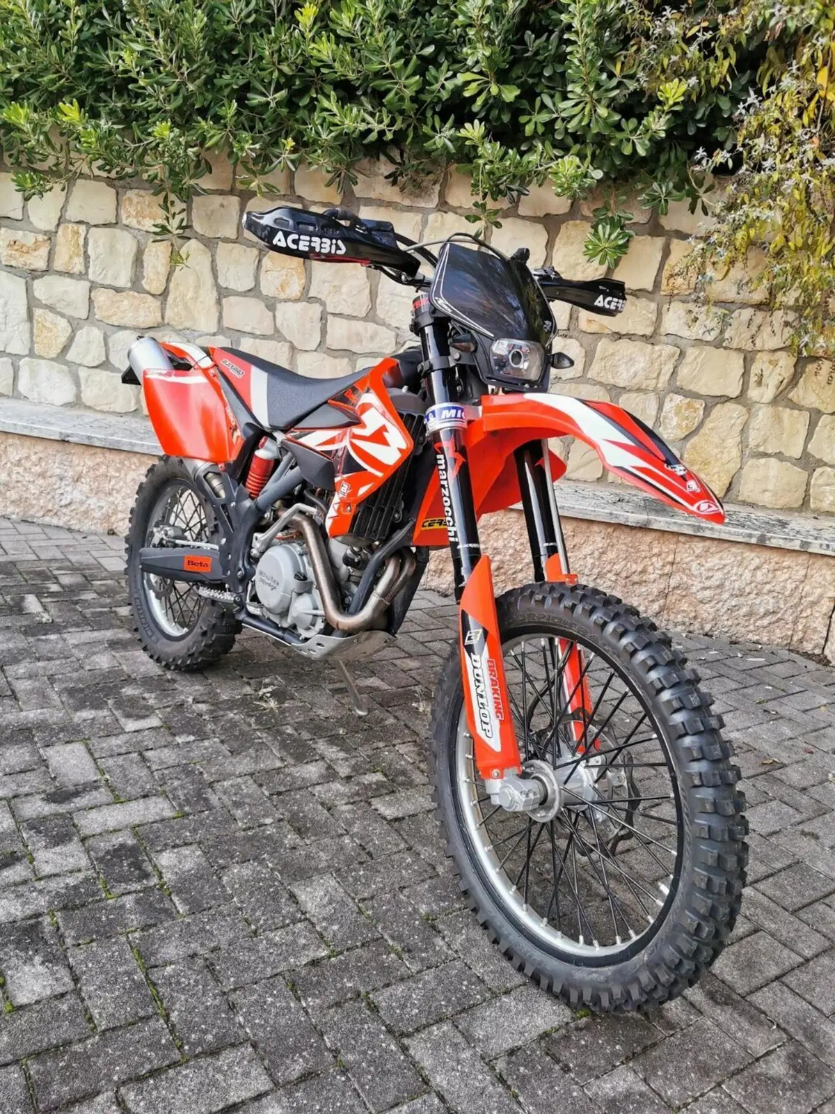 Betamotor RR 400 4T Enduro (2005) (6)