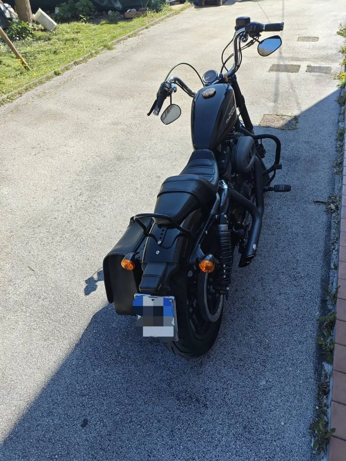 Harley-Davidson 1200 Roadster (2017 - 20) - XL 1200R (2)